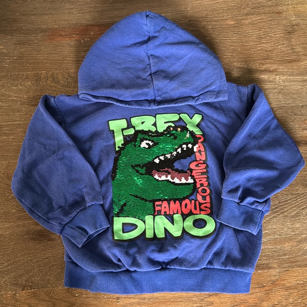 H&M Sequin Dino Hoodie 5-6